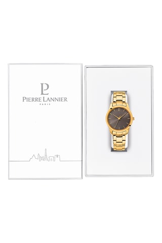 Stalen Quartz Horloge Roxane - Goudkleurig en Donkergrijs