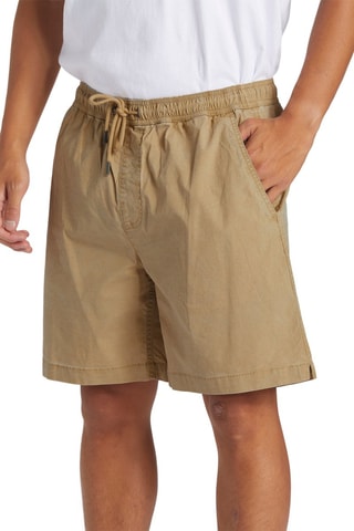 Short Straight - Bruin