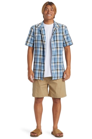 Short Straight - Bruin