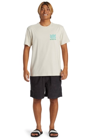Velours Short Straight - Zwart