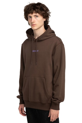 Sweater Regular Fit met Capuchon Element - Bruin