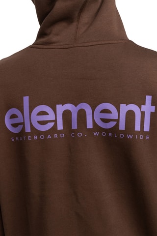 Sweater Regular Fit met Capuchon Element - Bruin