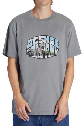 T-shirt - Grijs - DC Shoes