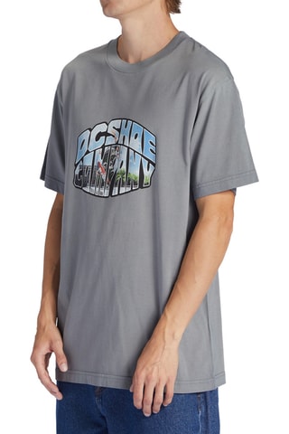 T-shirt - Grijs - DC Shoes