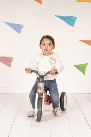 Tricycle évolutif multifonction - Rose et gris - De 18 à 36 mois - Jusqu’à 20 kg