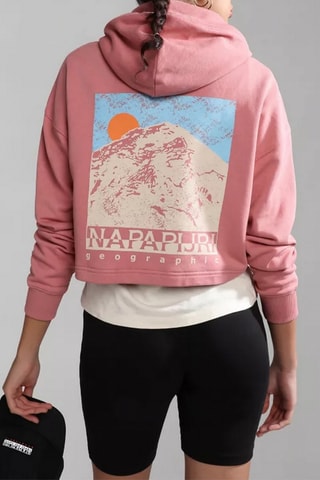 Korte Sweater Cenepa - Roze - Napapijri