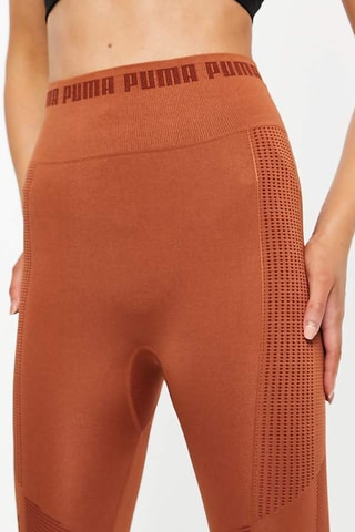 Trainingslegging Hoge Taille Evoknit Seamless - Bruin - Puma