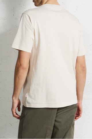 T-shirt Mapleton - Wit - Dickies