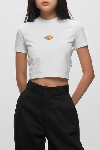 Crop Top Maple Valley - Wit - Dickies