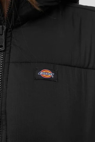 Lange Gewatteerde Jas Alatna - Kaki - Dickies