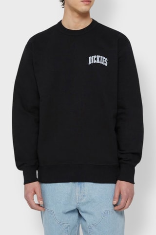Sweater Aitkin - Zwart - Dickies