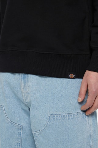 Sweater Aitkin - Zwart - Dickies