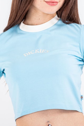Cropped T-shirt Warm Springs - Hemelsblauw - Dickies
