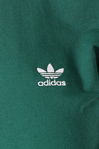 T-shirt Originals Adicolor - Groen - Adidas