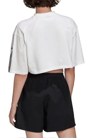 Cropped T-shirt Originals Fakten - Wit - Adidas