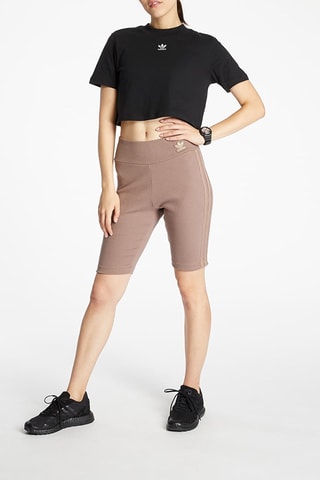 Panty New Neutrals - Bruin - Adidas