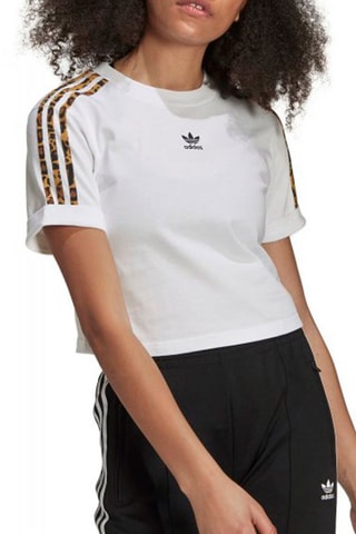 Cropped T-shirt Leopard Luxe - Wit - Adidas