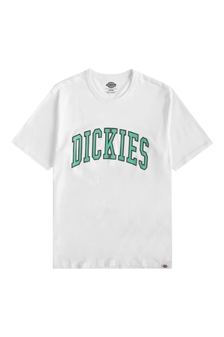 T-shirt Aitkin - Wit - Dickies
