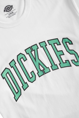 T-shirt Aitkin - Wit - Dickies