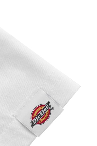 T-shirt Aitkin - Wit - Dickies