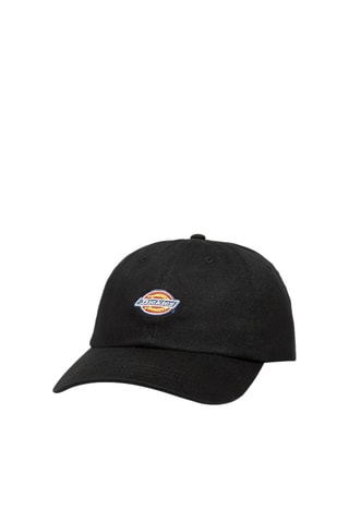 Pet Sumiton - Zwart - Dickies