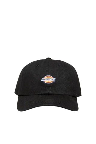 Pet Sumiton - Zwart - Dickies