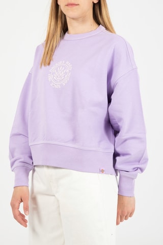 Sweater Beavertown - Paars - Dickies