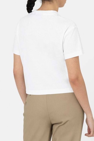 T-shirt Oakport Boxy - Wit - Dickies