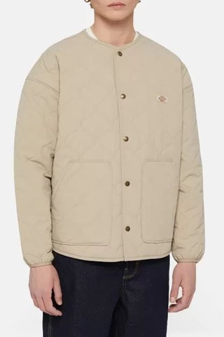 Jasje Thorsby - Beige - Dickies