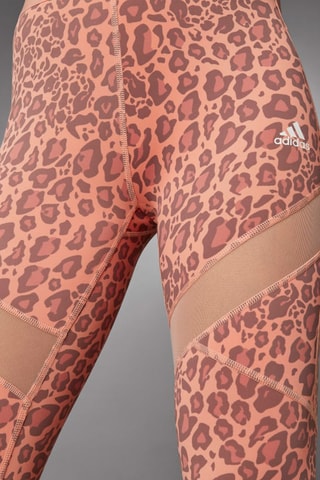Trainingslegging Hoge Taille - Oranje - Adidas