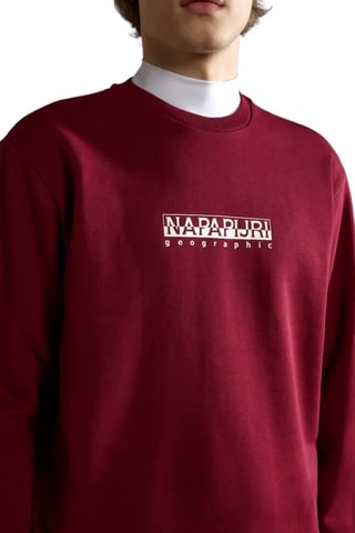 Sweater Box - Bordeauxrood - Napapijri