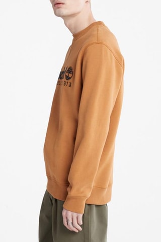 Sweater Heritage Est. 1973 - Bruin - Timberland