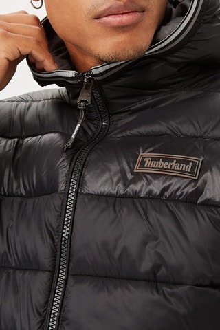 Gewatteerde Jas met Capuchon Garfield - Zwart - Timberland
