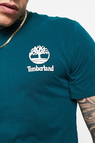 T-shirt - Turquoise - Timberland
