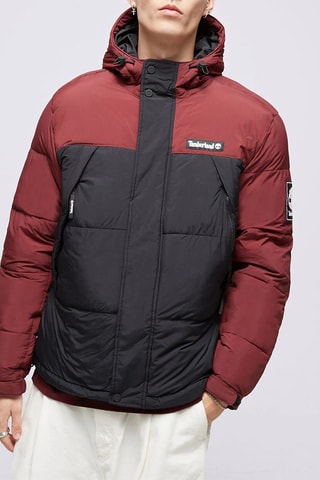 Gewatteerde Jas met Capuchon Archive Puffer - Zwart en Bordeauxrood - Timberland