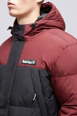 Gewatteerde Jas met Capuchon Archive Puffer - Zwart en Bordeauxrood - Timberland