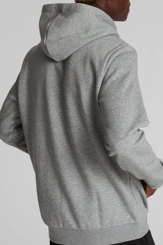 Sweater met Capuchon Plus Essentials - Gemêleerd Lichtgrijs - Puma