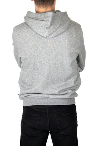 Sweater met Capuchon Essentials - Grijs - Puma