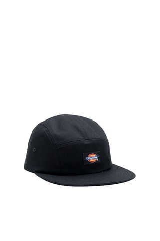 Pet Albertville - Zwart - Dickies