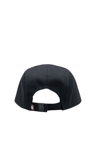 Pet Albertville - Zwart - Dickies