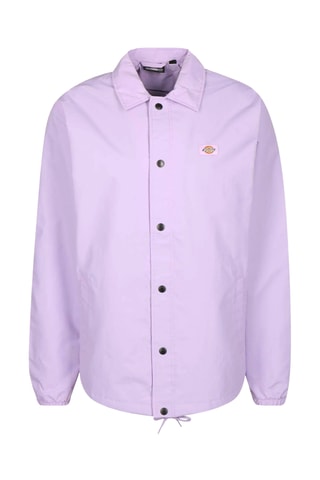 Jasje Oakport - Paars - Dickies