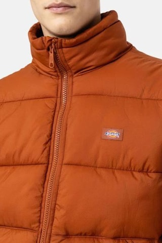 Gewatteerde Jas Waldenburg - Bruin - Dickies
