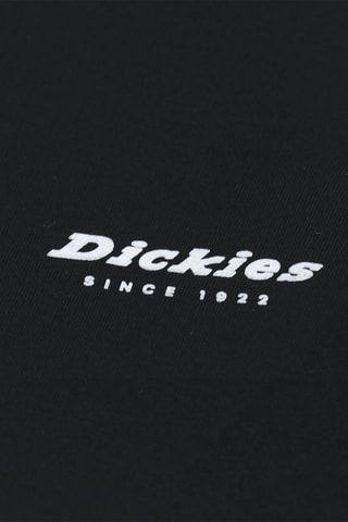 Sweater met Capuchon Clackamas - Zwart - Dickies