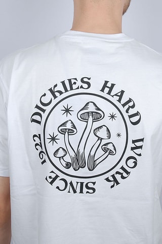 T-shirt Bayside Gardens - Wit - Dickies