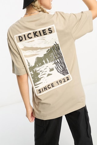 T-shirt North Plains Mountain - Beige - Dickies