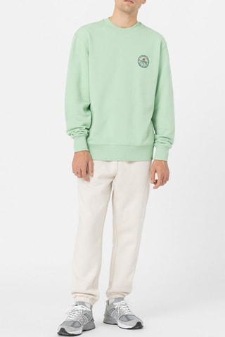 Sweater Greensburg - Groen - Dickies