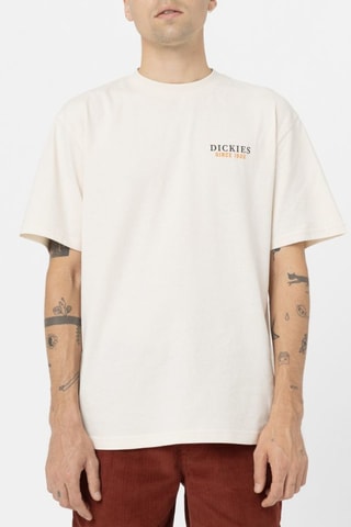 T-shirt Westmoreland - Ecru - Dickies