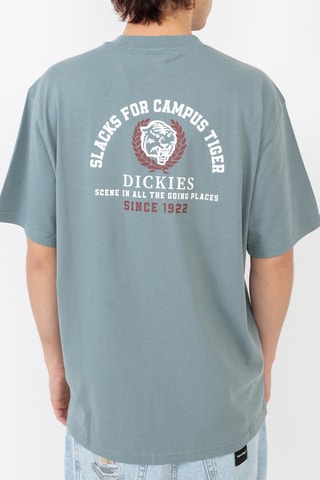 T-shirt Westmoreland - Hemelsblauw - Dickies