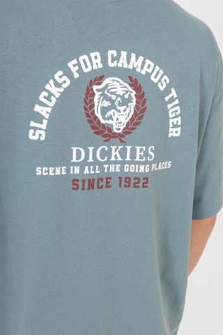 T-shirt Westmoreland - Hemelsblauw - Dickies