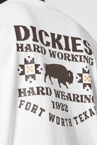 T-shirt Texas - Wit - Dickies